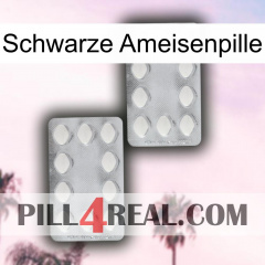 Black Ant Pill 17
